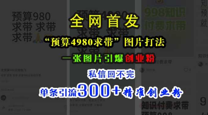 小红书“预算4980带我飞”图片打法,一张图片引爆创业粉,私信回不完,单条引流300 精准创业粉