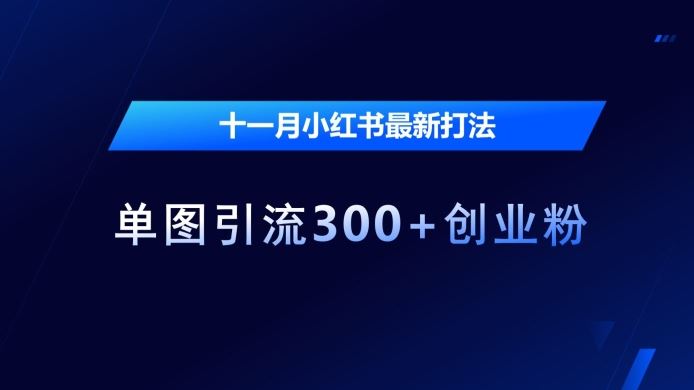 十一月小红书最新打法,单图引流300 创业粉【揭秘】