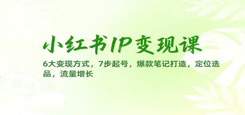 小红书IP变现课:6大变现方式,7步起号,爆款笔记打造,定位选品,流量增长-51云资源