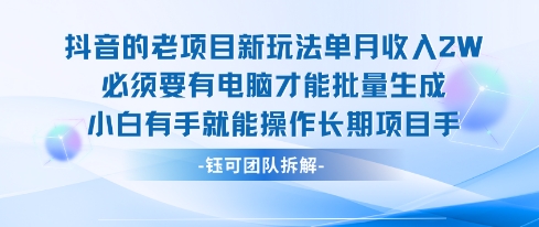老项目新玩法单月收入2W小白有手就能操作长期项目-51云资源