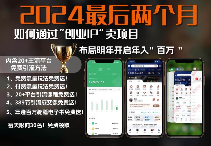 （13322期）2024最后两个月如何通过”创业IP“卖项目年入”百万“,创业IP 最强引流…-51云资源