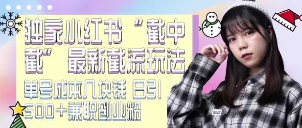 最新小红书截流玩法 独家截中截 单号成本几块钱 日引500 CY粉JZ粉-51云资源