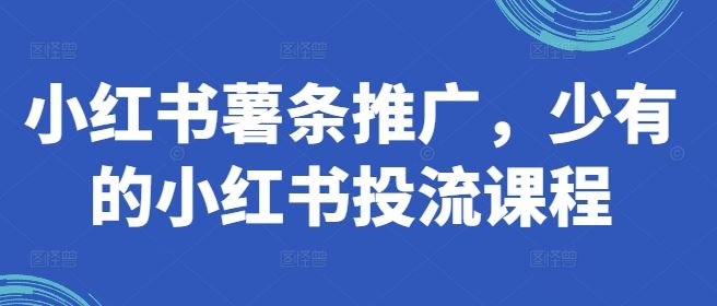 小红书薯条推广，少有的小红书投流课程-51云资源
