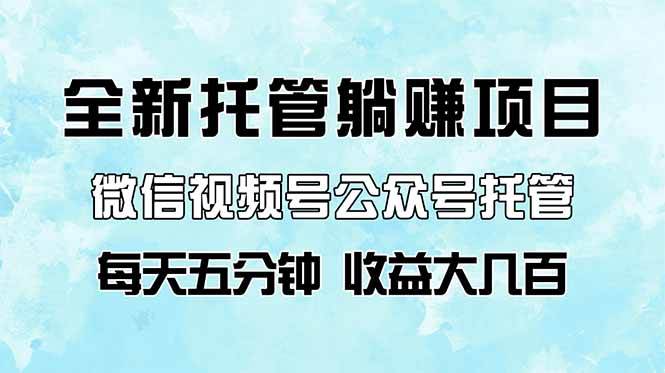 (14425期)全新托管躺赚项目,微信视频号公众号托管代运营,每天五分钟,收益大几百