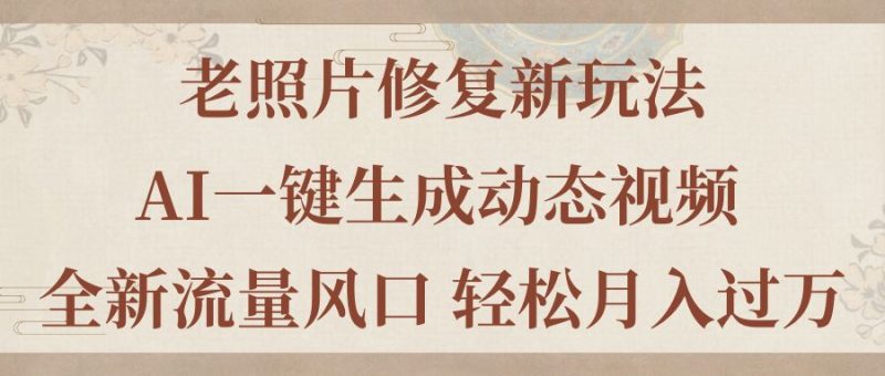 （11503期）老照片修复新玩法，老照片AI一键生成动态视频 全新流量风口 轻松月入过万-51云资源