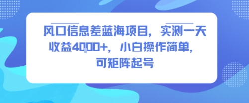 风口信息差蓝海项目,实测一天收益4k ,小白操作简单,可矩阵起号
