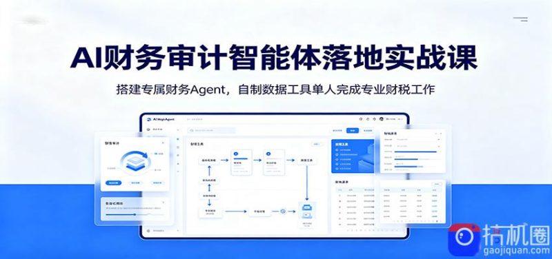 AI财务审计智能体落地实战课:搭建专属财务Agent,自制数据工具单人完成专业财税工作-51云资源