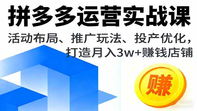 (16135期)拼多多运营实战课,活动布局、推广玩法、投产优化,打造月入3w 赚钱店铺-51云资源