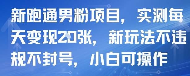新跑通男粉项目,实测每天变现多张,新玩法不违规不封号,小白可操作