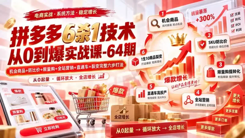 拼多多6杀1技术从0到爆实战课-64期:机会商品 防比价 限量购 全站营销 直通车 裂变完整六步打法-51云资源