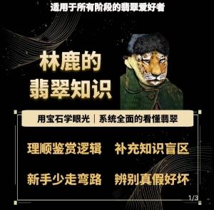 林鹿的翡翠知识,用宝石眼光,系统全面的看懂翡翠-51云资源