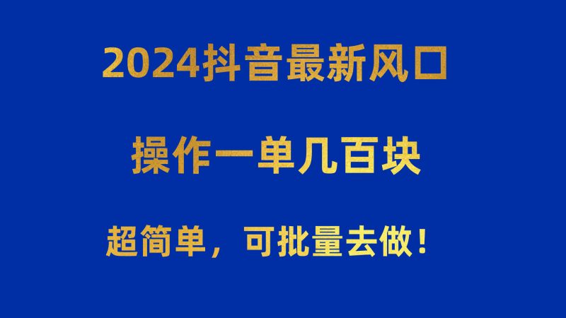 （10413期）2024抖音最新风口！操作一单几百块！超简单，可批量去做！！！-51云资源