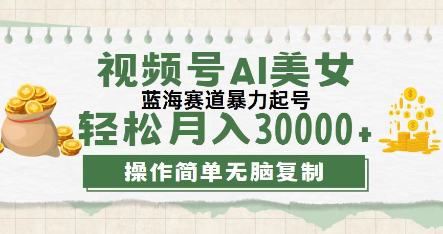 (12087期)视频号AI美女跳舞,轻松月入30000 ,蓝海赛道,流量池巨大,起号猛,无…-51云资源