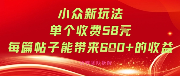小众新玩法单个收费58米每篇帖子能带来6张 的收益-51云资源