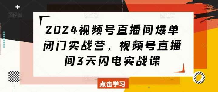 2024视频号直播间爆单闭门实战营,视频号直播间3天闪电实战课