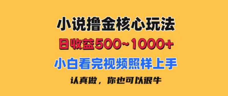 （11461期）小说撸金核心玩法，日收益500-1000 ，小白看完照样上手，0成本有手就行-51云资源