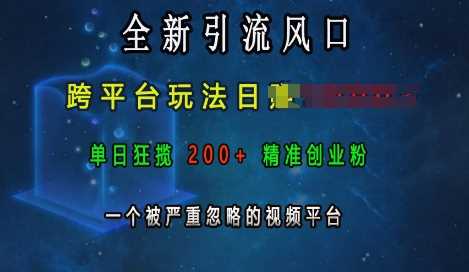 全新引流风口,跨平台玩法日入上k,单日狂揽200 精准创业粉,一个被严重忽略的视频平台-51云资源