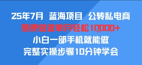 25年7月蓝海项目，公转私电商，随便做做单月轻松1w，小白一部手机就能做，完整实操步骤10分钟学会-51云资源