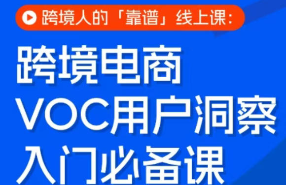 跨境电商VOC用户洞察入门必备课，跨境人的靠谱线上课-51云资源