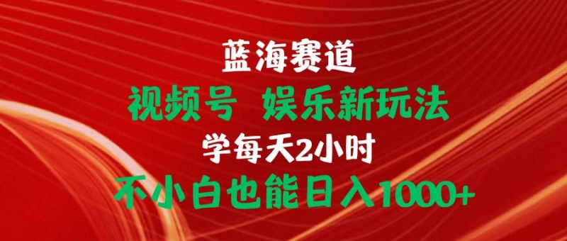 （10818期）蓝海赛道视频号 娱乐新玩法每天2小时小白也能日入1000-51云资源