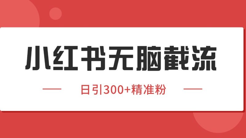 小红书截流同行客源,独家野路子获客玩法 日引200 暴力获客-51云资源