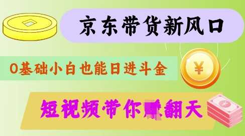 最新京东短视频带货代运营秘籍，轻松躺挣【揭秘】-51云资源