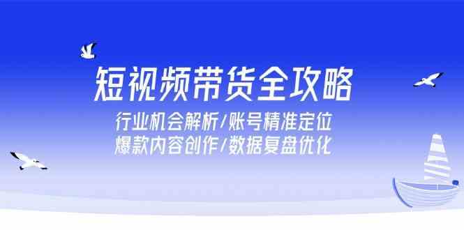 短视频带货全攻略，行业机会解析/账号精准定位/爆款内容创作/数据复盘优化-51云资源