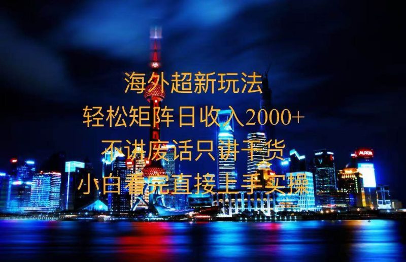 （13583期）2025全新海外暴力玩法，操作简单，小白轻松上手-51云资源