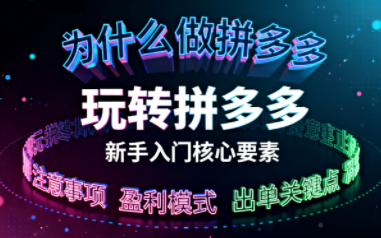 新手小白如何做拼多多-51云资源