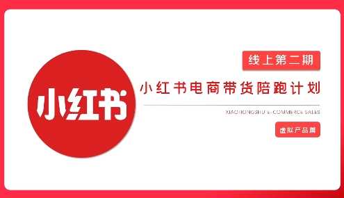 2025小红书虚拟电商实战课,从0到1打造无货源店铺,AI 爆款笔记轻松变现-51云资源