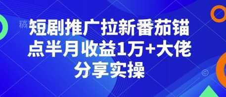 短剧推广拉新番茄锚点半月收益1万 大佬分享实操-51云资源