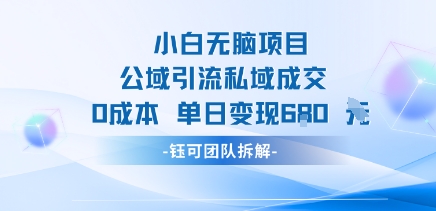 小白无脑项目公域引流私域成交0成本单日变现680米-51云资源