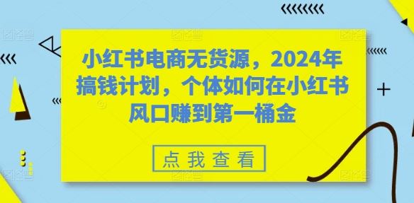 小红书电商无货源,2024年搞钱计划,个体如何在小红书风口赚到第一桶金