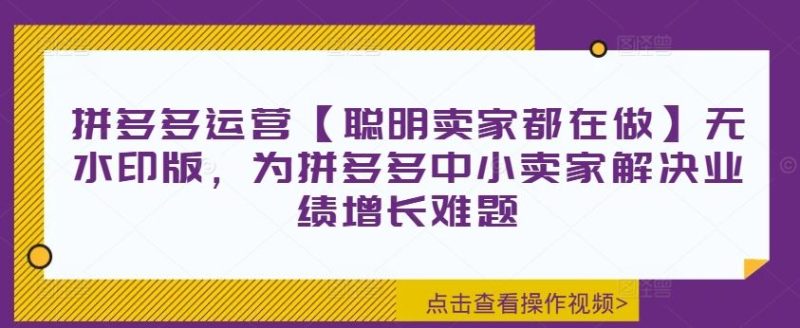 拼多多运营【聪明卖家都在做】无水印版，为拼多多中小卖家解决业绩增长难题-51云资源