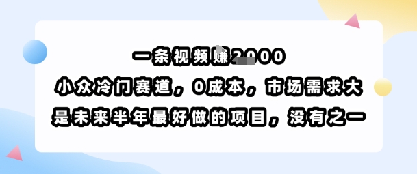 一条视频挣1k，小众冷门赛道，0成本，市场需求大，是未来半年最好做的项目，没有之一-51云资源