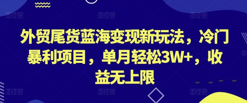 外贸尾货蓝海变现新玩法，冷门暴利项目，单月轻松3W ，收益无上限【揭秘】-51云资源
