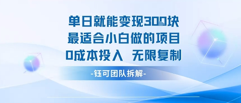 单日就能变现3张最适合小白做的项目0成本投入 无限复制-51云资源