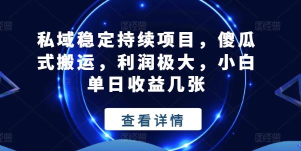 私域稳定持续项目，傻瓜式搬运，利润极大，小白单日收益几张【揭秘】-51云资源