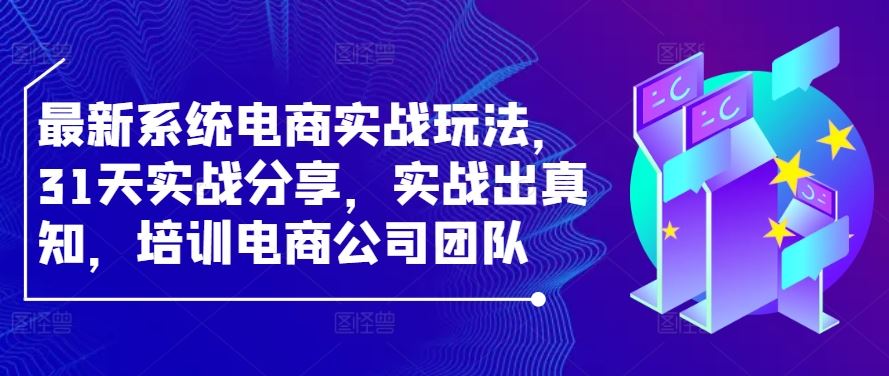 最新系统电商实战玩法，31天实战分享，实战出真知，培训电商公司团队-51云资源