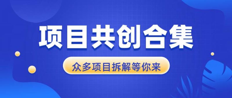 (13778期)项目共创合集,从0-1全过程拆解,让你迅速找到适合自已的项目-51云资源