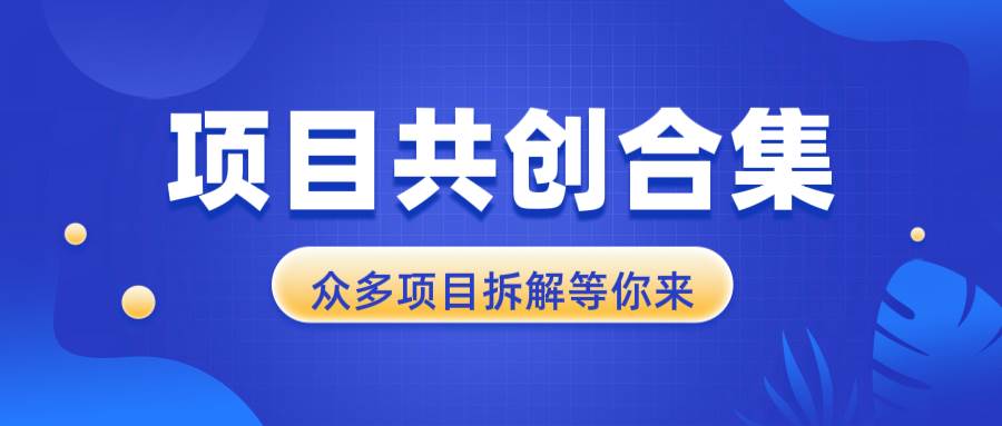 （13778期）项目共创合集，从0-1全过程拆解，让你迅速找到适合自已的项目-51云资源