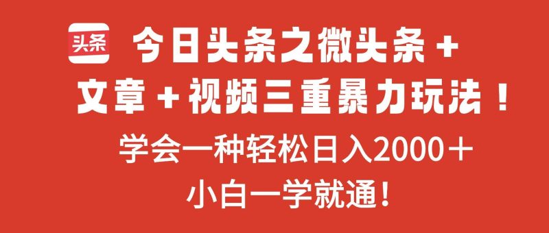 (16556期)今日头条之微头条+文章+视频三重暴力玩法,学会一种轻松日入2000+,…-51云资源