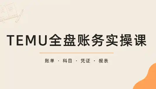 TEMU全盘账务实操课:账单导出、科目设置、利润核算-51云资源