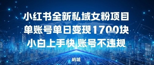 小红书全新私域女粉项目单账号单日变现多张，小白上手快账号不违规建议准备多账号操作-51云资源
