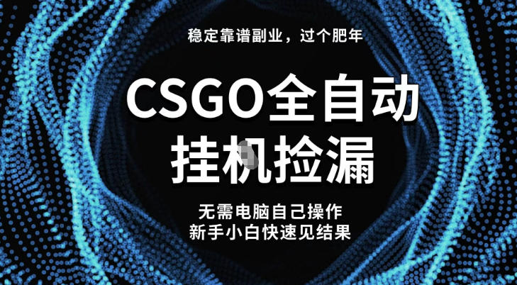【稳定副业】全球最热门游戏CSGO全自动捡漏，最新玩法，新手小白日入5张 【揭秘】-51云资源