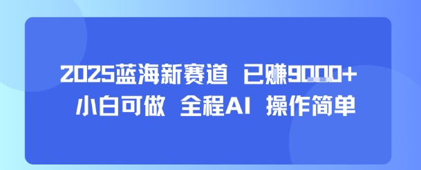 2025蓝海新赛道 已挣9k  小白可做 全程AI 操作简单-51云资源