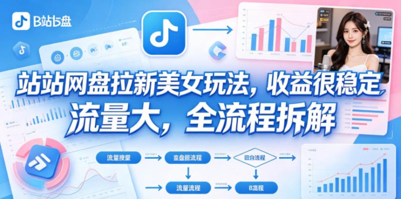 B站网盘拉新美女玩法，收益很稳定，流量大，全流程拆解-51云资源
