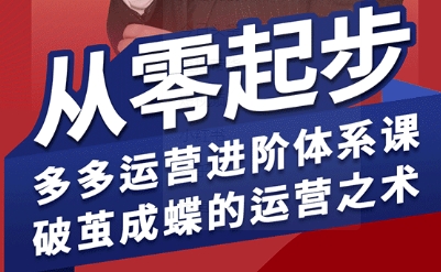 拼多多运营进阶系统课,从零起步,多多运营进阶体系课,破茧成蝶的运营之术-51云资源