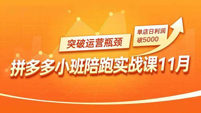 （16654期）拼多多小班陪跑实战课11月，强付费矩阵、原价活动、暗券引流，突破运营瓶颈，单店日利润破5000-51云资源