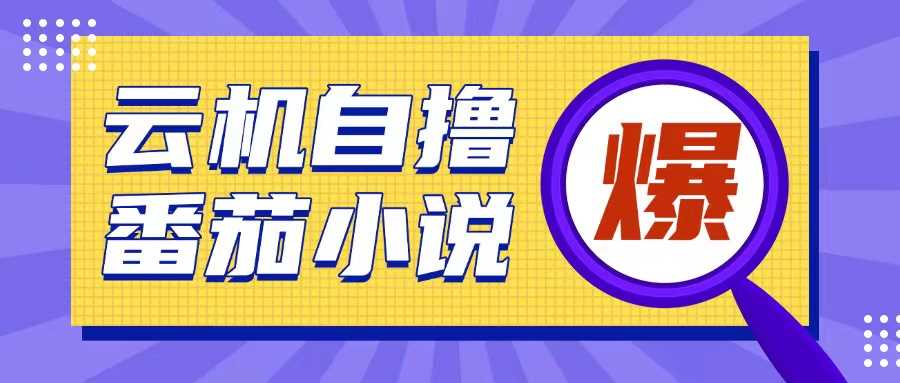 首发云手机自撸小说玩法，10块钱成本可撸200 收益操作简单【揭秘】
